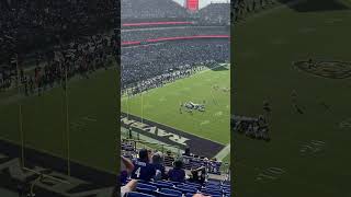 Las Vegas Raiders Daniel Carlson gamewinning field goal vs Baltimore Ravens nfl football [upl. by Aneelehs]