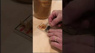 Mouse Trap Basics In One Minute [upl. by Larentia]