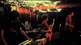 Cymbals Eat Guitars  Some Trees Live [upl. by Nitin695]