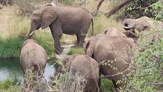 quot4K Beautiful Places Explore Africas Stunning Savanna and Wildlife  Nature Documentaryquot [upl. by Aenyl]