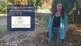 Fall Plant Walk at Meeting House Farm  October 2024 [upl. by Nhar436]