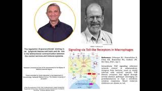 Discovery of Tolllike receptors “A Second Immune System” Source “An Elegant Defense” by Matt [upl. by Klotz693]