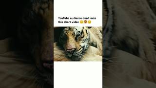 YouTube audience dont miss this short video 😊🐯😊 song bollywood love trending viralsong [upl. by Aggarwal]