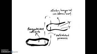 Diagrama de Relaciones Espaciales [upl. by Barstow]