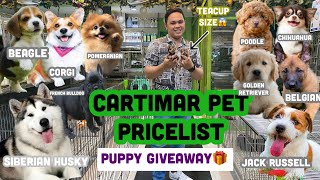 JANUARY 2023 UPDATED CARTIMAR PET PRICELIST  GIVEAWAY CUTE amp PURE BREED PUPPIES MUST WATCH [upl. by Ydnec]