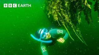 Freediving For Golden Swedish Superfood  Paddy and Chris Road Tripping  BBC Earth Unplugged [upl. by Gleda]