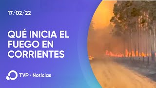 Las causas de los incendios forestales en Corrientes [upl. by Yehc]