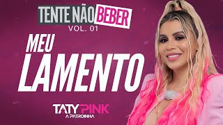 TATY PINK  REPERTÓRIO MEU LAMENTO 2024 [upl. by Noyr]