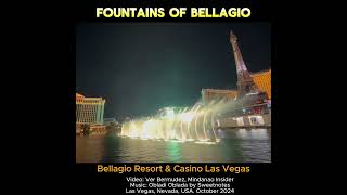 WHATS IN THE BELLAGIO RESORT amp CASINO IN LAS VEGAS [upl. by Ahsiekit]