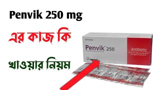 Penvik ds 500 mg এর কাজ কি  Penvik 250 mg Bangla  Antibiotics tablet  এন্টিবায়োটিক ঔষধ [upl. by Ennairej]