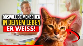 Ihre Katze versucht Ihnen eine Nachricht zu senden – hören Sie zu [upl. by Airogerg]