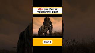 भेड़िए जंगल में कैसे शिकार करते है 🤯 । Movie  Alpha [upl. by Conrade]