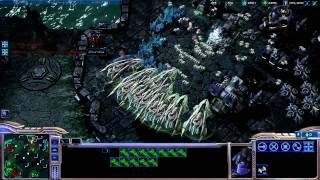 Starcraft 2 Battle  2v2 Protoss vs Terran  eSport Change Games oGc MC TLO [upl. by Arie]