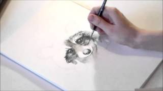 Raccoon speed painting tutorial in watercolors  как нарисовать енота акварелью [upl. by Shadow126]