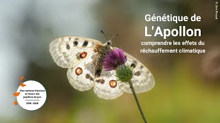 PNA Papillons de jour  LApollon Opie et DREAL AuRA [upl. by Wohlert]