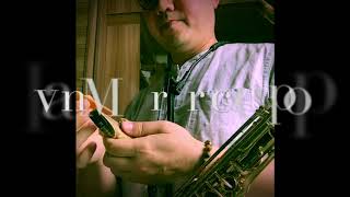 Theo Wanne Durga 1 and Ivan Meyer Brecker pop Tenor sax mouthpiece play test dryno Reverb [upl. by Uba6]