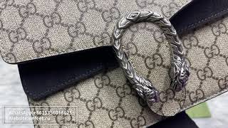 2023 GUCCI Dionysus Review [upl. by Gnen976]