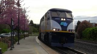 Spring in Fremont Union Pacific Amtrak ACE and CalTrain [upl. by Arlan]