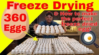 Freeze Drying 360 Eggs🍳 amp How to make the Perfect Freeze Dried Egg freezedriedeggs [upl. by Payson]