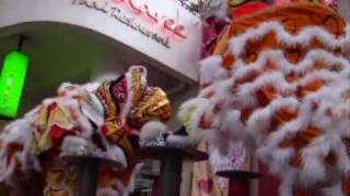 Chinese New Year Tiger Dance 舞虎 [upl. by Ennoira133]