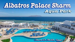 Albatros Palace Sharm  A Spectacular 5Star Hotel Tour  Pickalbatros Hotels [upl. by Oemor]