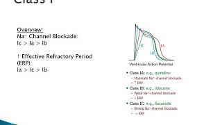 Pharmacology of Antiarrhythmics [upl. by Iline966]