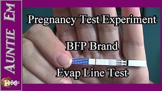 Pregnancy Test Experiment  Evap Line Test  BFP Brand [upl. by Ylrad309]