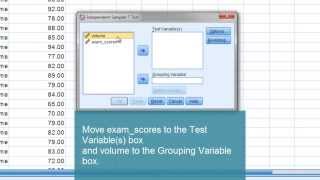 Independent Samples t Test in SPSS  Two sample t test [upl. by Christos386]