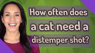 How often does a cat need a distemper shot [upl. by Tillo868]