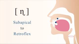 ɳ  voiced subapical retroflex nasal stop [upl. by Allenod]