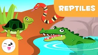 Reptiles for kids  Vertebrate animals  Natural Science For Kids [upl. by Ellennad]