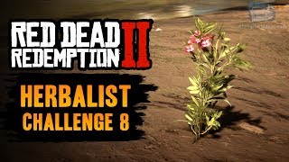 Red Dead Redemption 2 Herbalist Challenge 8 Guide  Use Oleander to craft 6 poison weapons [upl. by Ettenal]