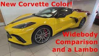 New C8 Corvette Color Widebody Comparison and a Lambo [upl. by Kenny]