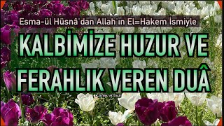 Huzur Duası  Allahım Kalbimize ferahlık ver Bize hidayetini ihsan eyle [upl. by Sigismondo]