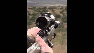 Unforgettable African Adventure Blesbok Hunting Expedition [upl. by Assir787]