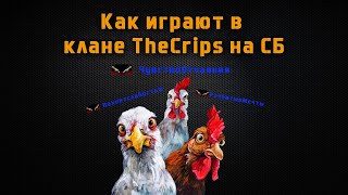 LineAge 2 Asterios x5 quotКак в клане TheCrips играют на СБquot [upl. by Gilder]