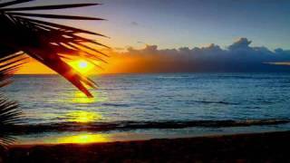 Sunset Serenity Relaxation Meditation with Ocean and Palm Tree Silhouette [upl. by Arman]