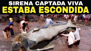 Descubrieron Una Sirena En Una Playa Lo Que Sucedió Después CONMOCIONÓ Al Mundo Entero [upl. by Romeu]