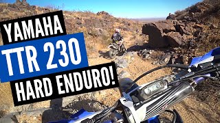 Yamaha TTR 230 — Trail Riding Dirt Bike or Hard Enduro Machine BOTH [upl. by Neirual715]