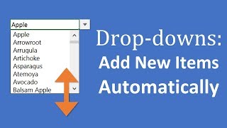 Add New Items To Excel Dropdown Lists Automatically In Seconds [upl. by Ephrayim]