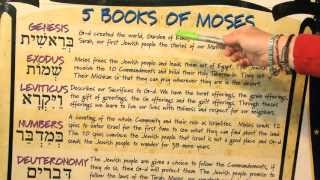 Salomon Says The Torah and the 5 Books of Moses [upl. by Ahsinirt]