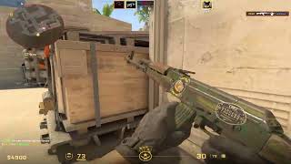 Faceit LVL10 quotZ33Zquot highlights Wohohoo [upl. by Madi960]