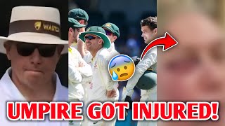 Serious 😰 Umpire Get HOSPITALISED after Injury  Australia Cricket News Facts [upl. by Hillhouse796]