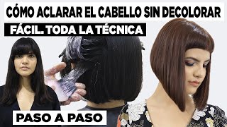 PINTA EL CABELLO SIN DECOLORAR FÁCIL TODA LA TÉCNICA PASO A PASO [upl. by Torras630]