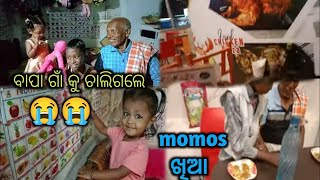 odia vlogTamil Nadu re momos khia😀nati natuninka Saha photo athaile😀my Tamil Nadu life [upl. by Ahsaei354]