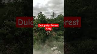 Dulapally forest Area Dulapally medchal animals elephant nature wildlife [upl. by Tia]