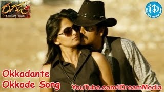 Ragada Movie Songs  Okkadante Okkade Song  Nagarjuna  Anushka Shetty  Priyamani [upl. by Ciryl]