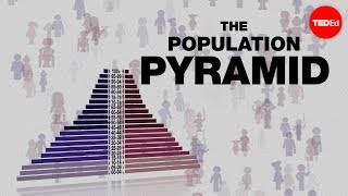 Population pyramids Powerful predictors of the future  Kim Preshoff [upl. by Ollecram]