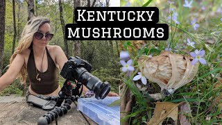 Kentucky mushroom hunting [upl. by Rania922]