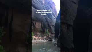 Zion Narrows Zion National Park Utah USA zionnationalpark utah shortsyoutube shortvideo [upl. by Kursh]